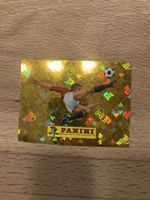 Panini Sammelbild Fussball glänzend gute Sammlung
