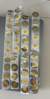 Migros Sticker Sammelpass 40 Stück