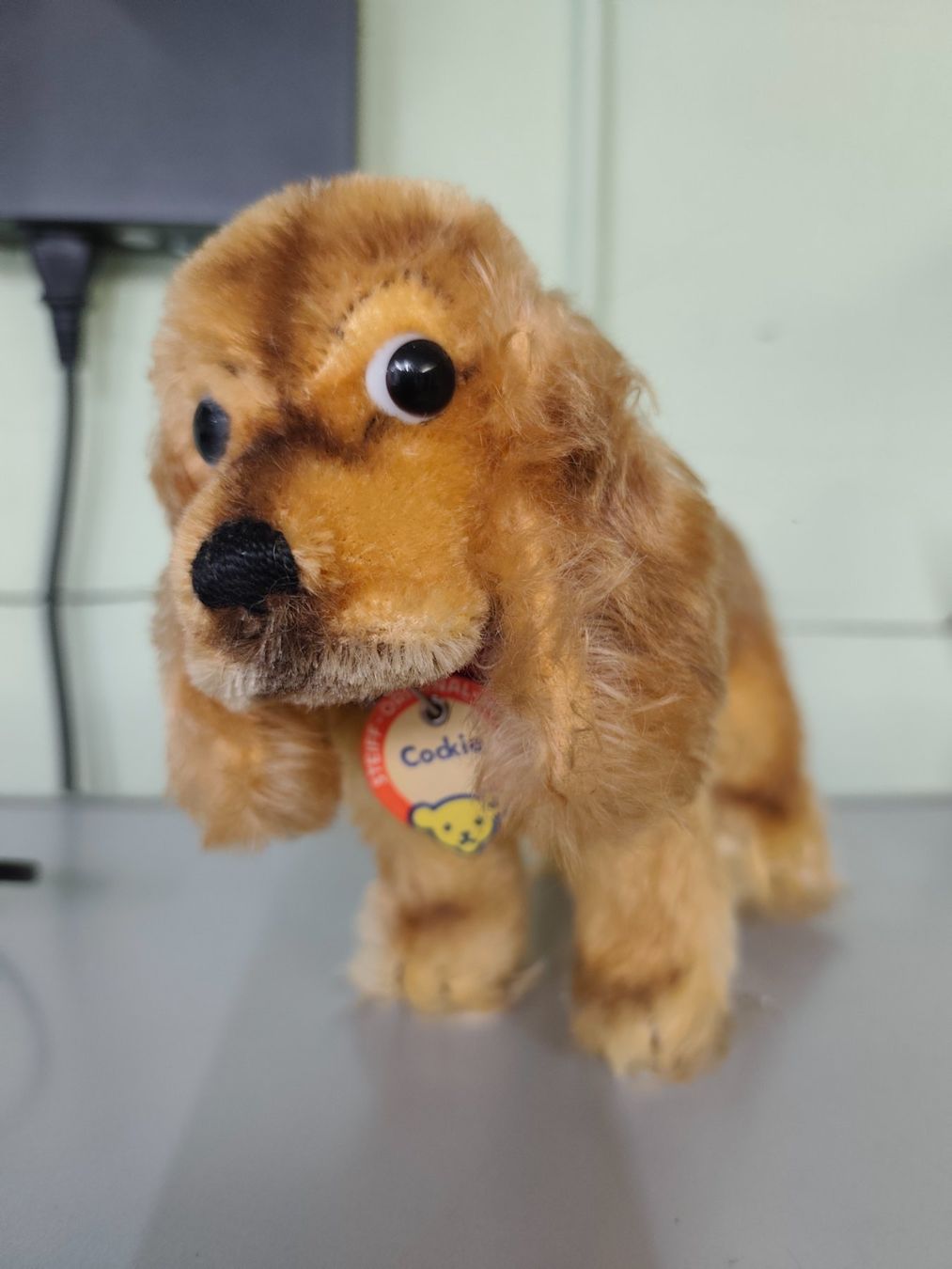 Steiff Giocattoli: Stofftier Steiff Hund " Cockie " – Usato da Goldswil b. Interlaken venduto da troedlermarkt-goldsw 4