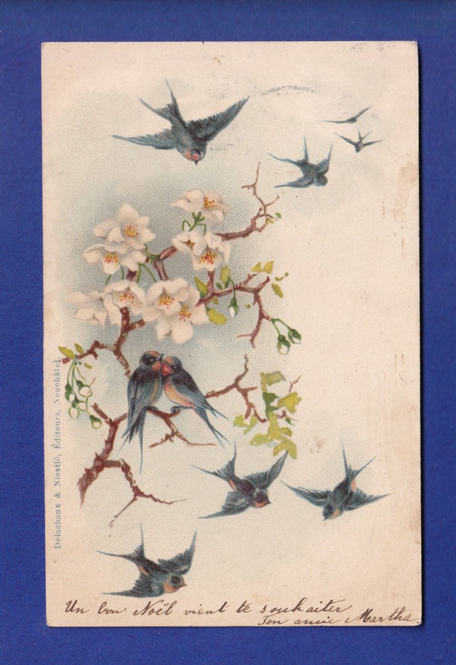 Ansichtskarten: OISEAU - Hirondelles – Gebraucht aus Pully von nicecards-shop