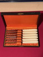 Vintage Bone Handled Knives Set in Original Box, Estate