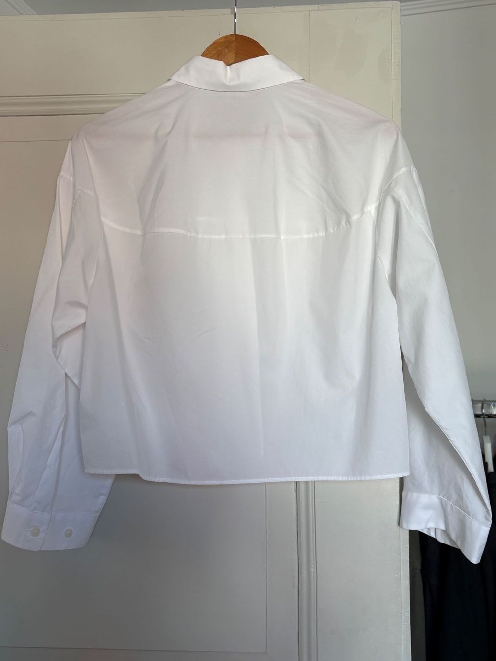 Camicette: Hemd von Uniqlo – Nuovo (secondo la descrizione) da Wallisellen venduto da lin_v 2
