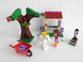Lego 41003 Olivia’s Newborn Foal, mit Bauanleitung