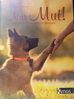 Ch. Schranz: Nur Mut! 
