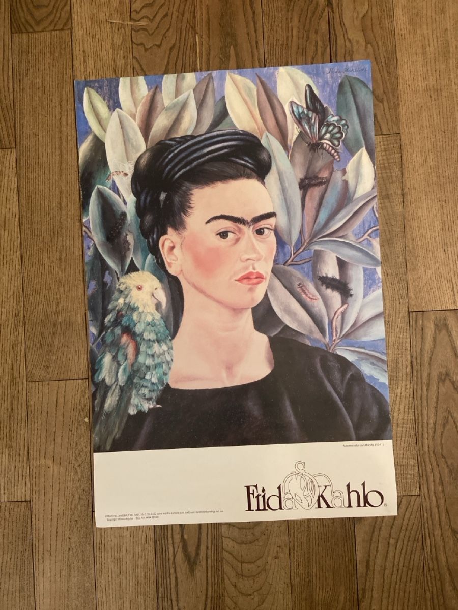 Posters & Illustrations: Plakat Frida Kahlo 45x70cm – D'occasion à Zürich par luc_8sdm