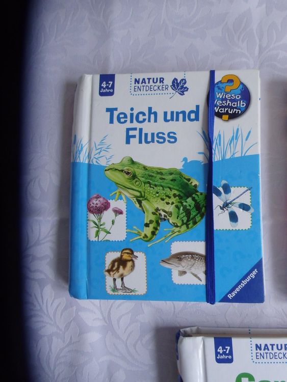 42+ An Teich Und Fluss, Tolle bewegungsklappen und faszinierende