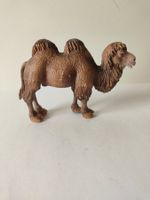 Schleich Trampeltier Kamel Wild Life Zoo