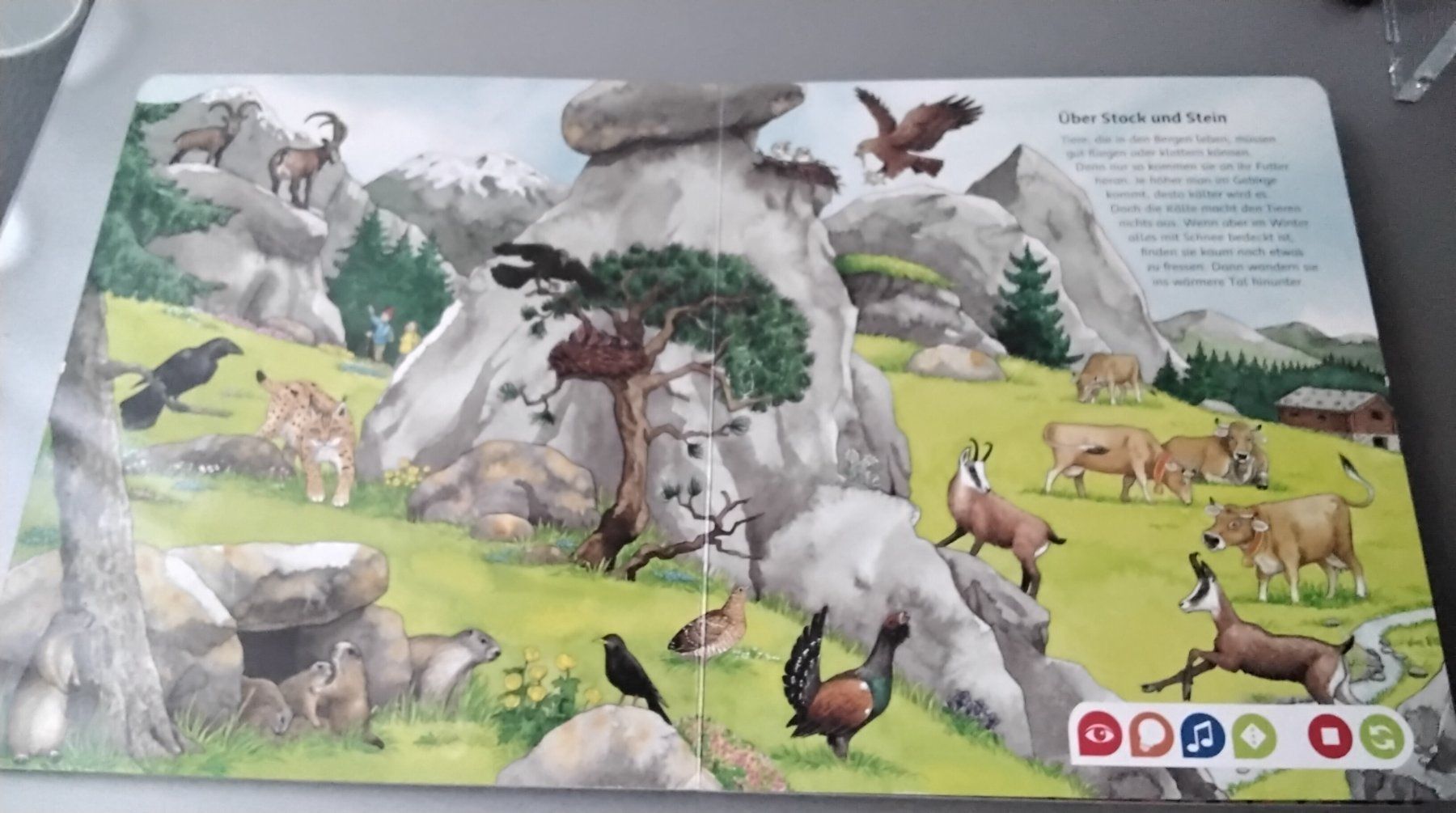 Libri: Tiptoi  Bilderlexikon Tiere – Usato da Steinhausen venduto da pinu09 2