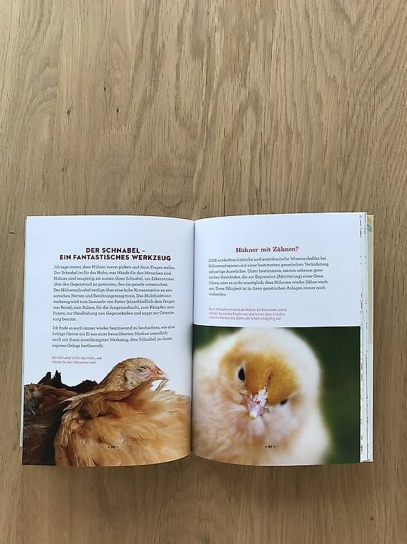 Libri: Buch How to speak chicken – Usato da Egolzwil venduto da taraxacum65 3