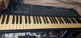 Synthesizer Dave Smith Instruments Prophet 08 gebraucht