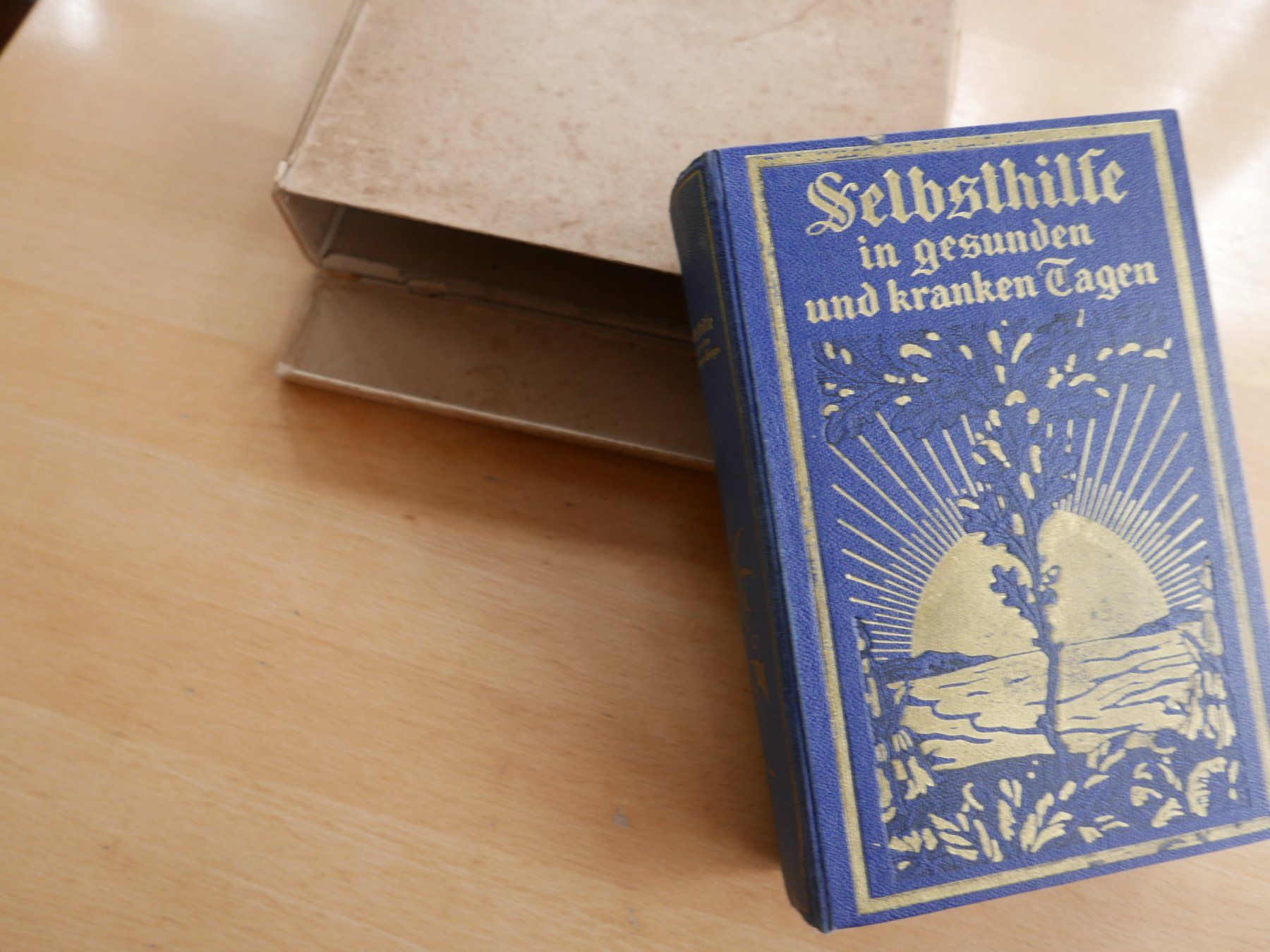 Libri: Antikes Buch "Selbsthilfe", mit Illustrationen – Usato da Rotkreuz venduto da nigal 7