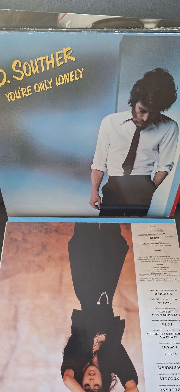 Dischi in vinile: Kleine Schallplatten Sammlung  – Usato da Riehen venduto da Steinbock1970 2