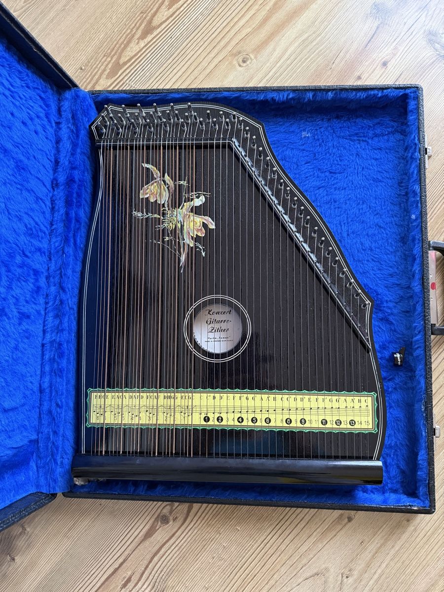 Strumenti musicali: Gitarre-Zither – Usato da Unterlangenegg venduto da mamu3657