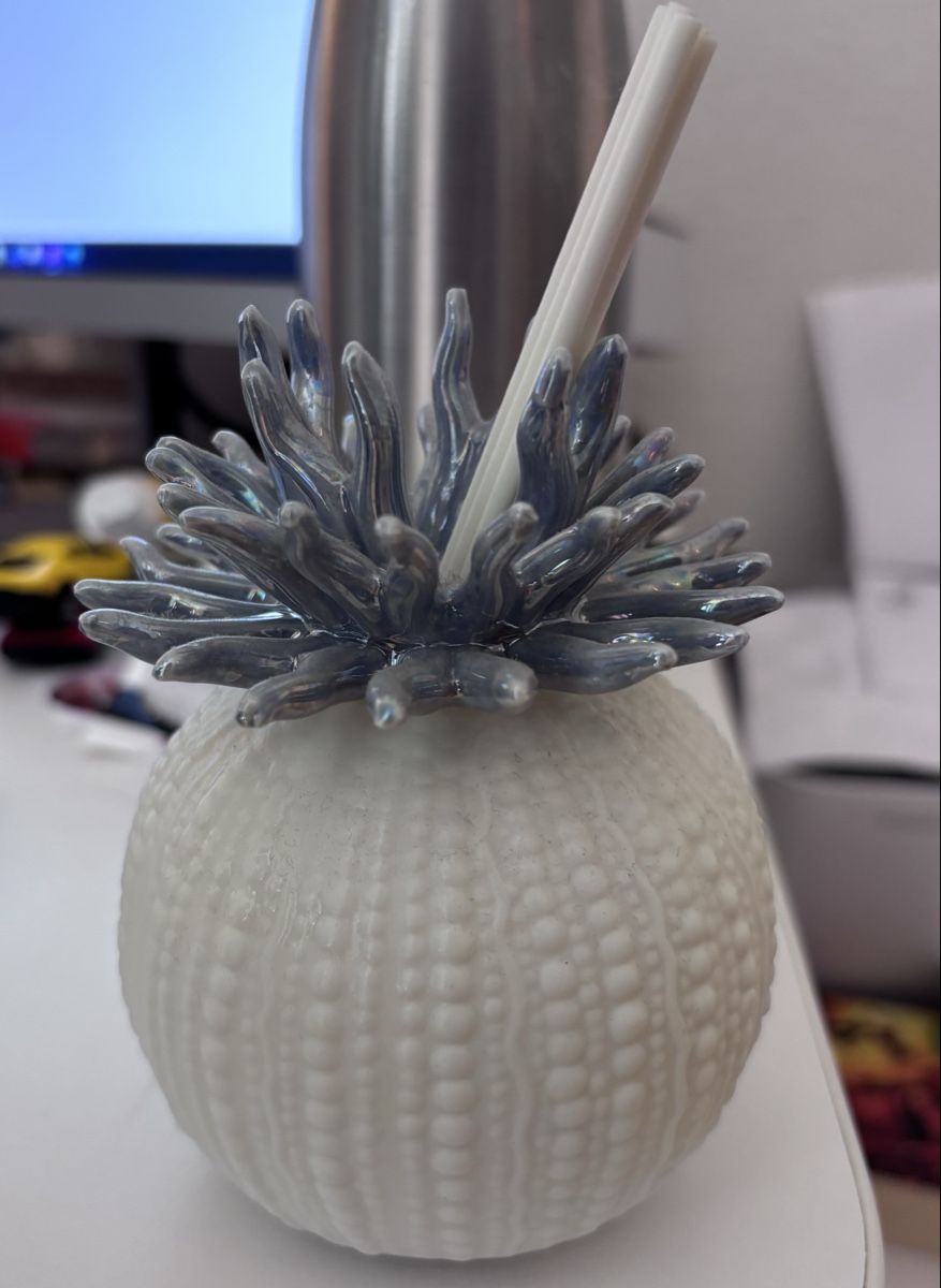Alle Dekorationen: Decorative ceramic sea urchin, summer home decor item – Gebraucht aus Biel/Bienne von rob_25s7
