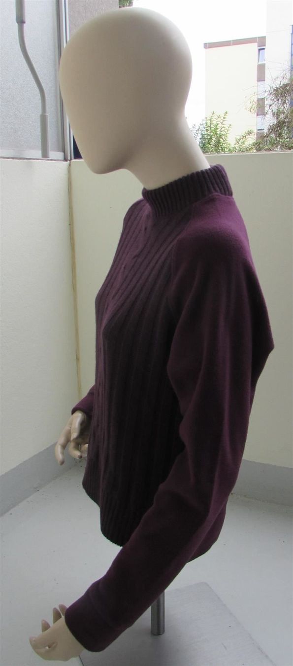 Pulls & Sweat-shirts: Pullover – D'occasion à Aadorf par Olymp05 1
