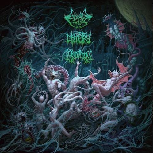 CD: Eviscerated entrails/dismetry... – Usato da St-Cergue venduto da VeganWarrior