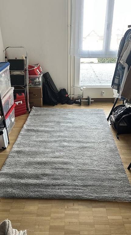 Teppiche: Grauer Teppich – Gebraucht aus Thun von SelinaW1995 3