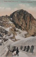 PILATUS-KULM - Eselsptize im Früsommer