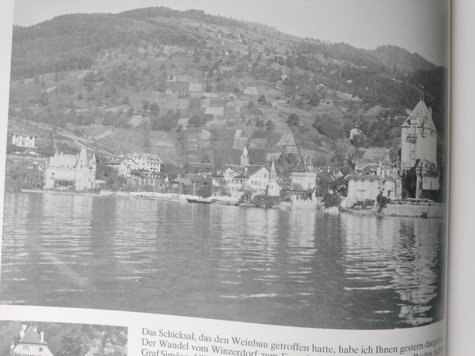 Libri: Buch , mein Thunersee, Rechtes Ufer – Usato da Schwanden Sigrisw venduto da cadieux71 5