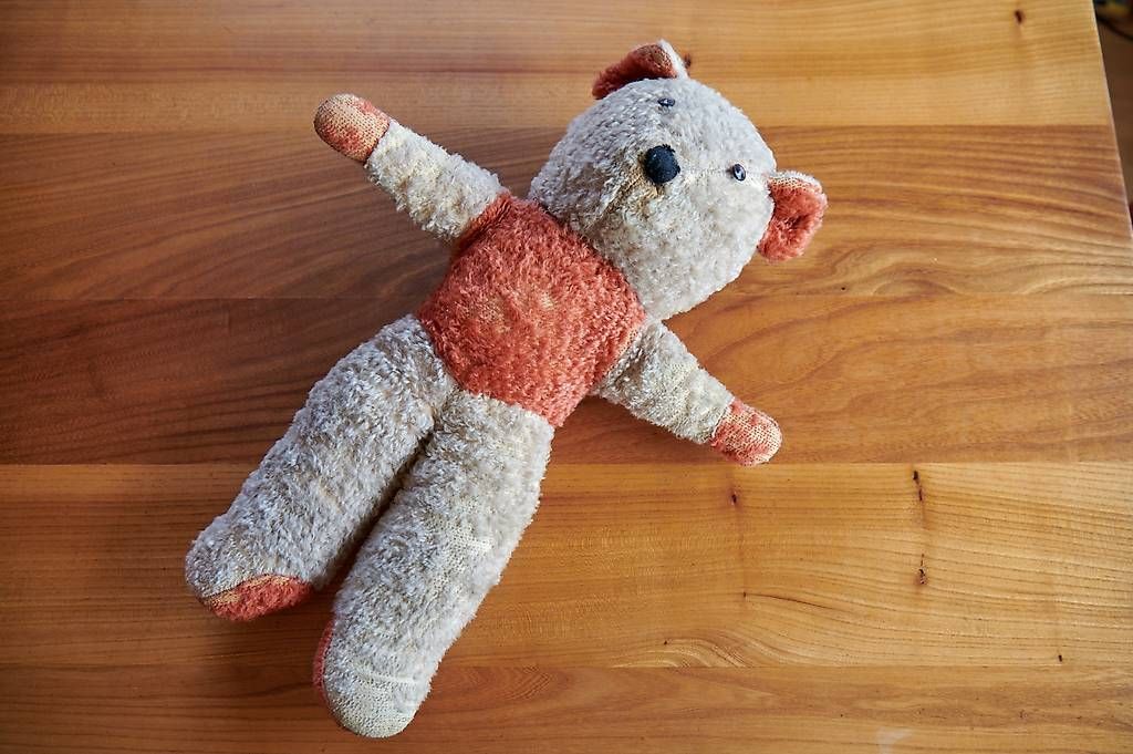 Giocattoli: Teddybär von der Urgrossmutter – Usato da Schalchen venduto da Rasenrot