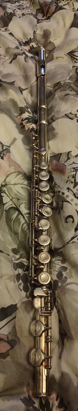 Yamaha Strumenti musicali: Querflöte Silber mit Koffer gebrauchter Zustand – Usato da Fällanden venduto da gevenessy 2
