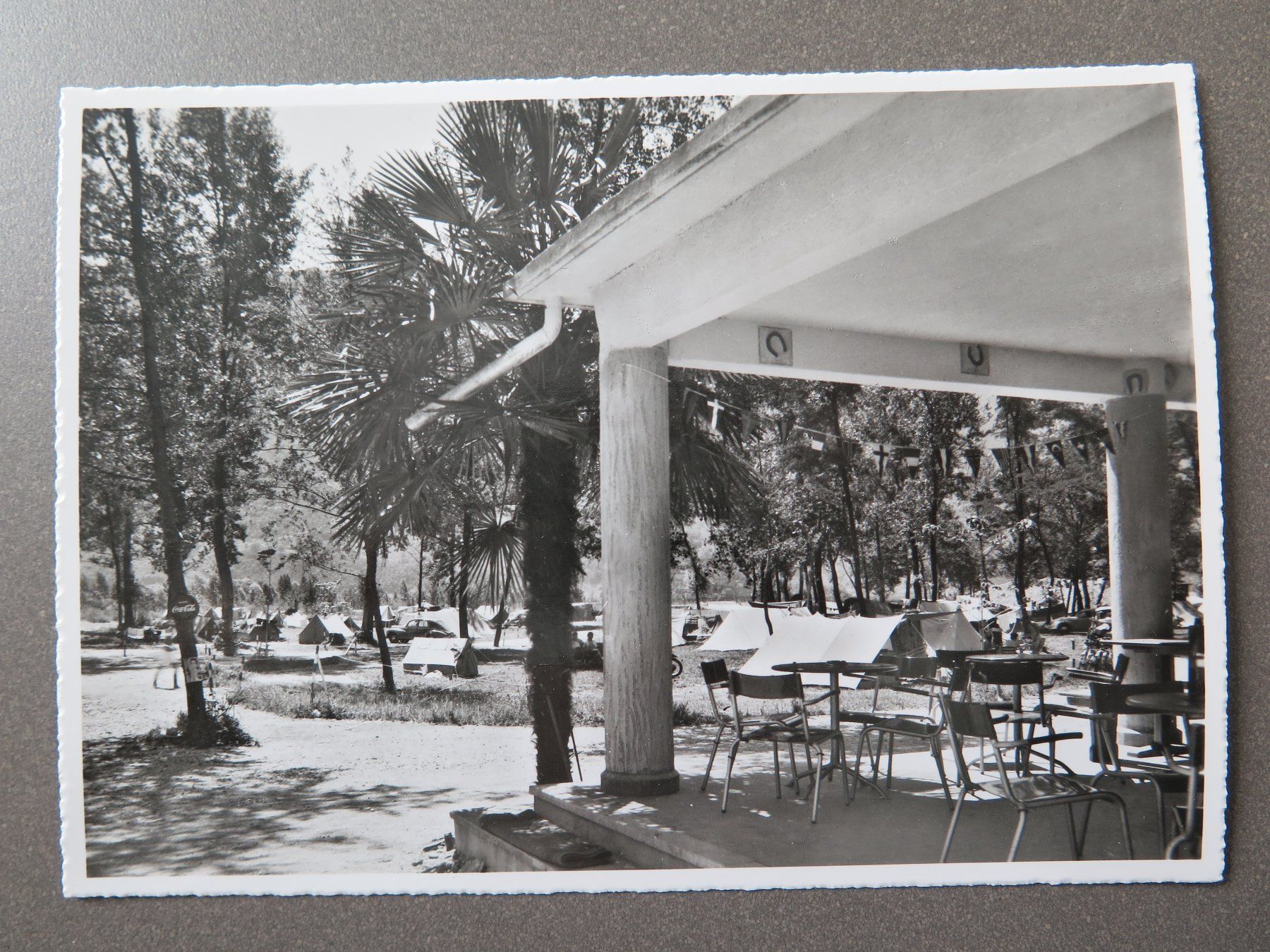 Cartoline postali: TENERO - CAMPING CAMPOFELICE – Usato da Wittenbach venduto da lipasal