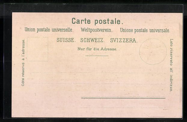 Cartoline postali: AK Bellinzona, Ortspartie – Usato da Berlin venduto da bartko-reher 1