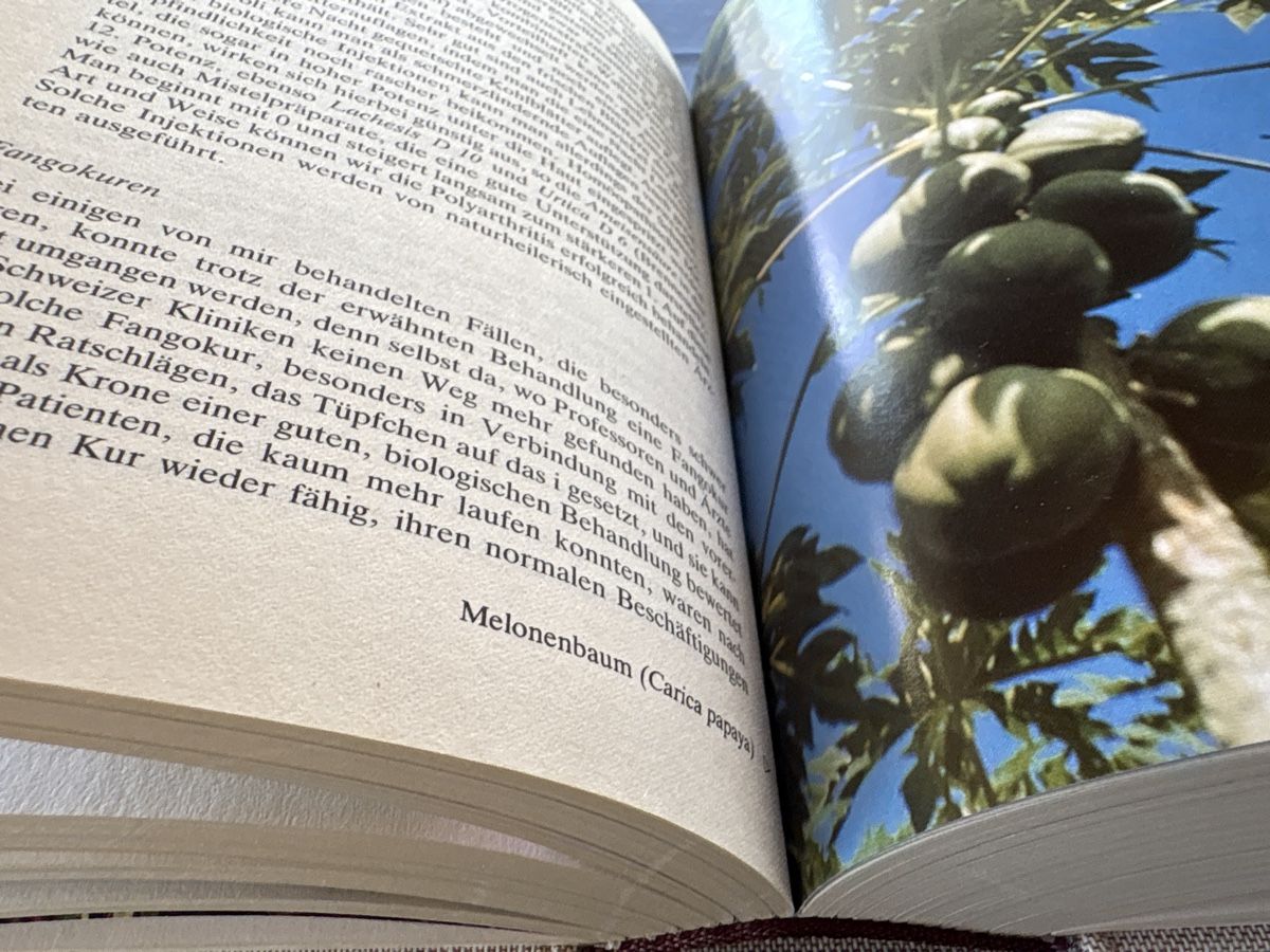 Bücher: Buch von A. Vogel der kleine Doktor – Gebraucht aus Grenchen von nethy 3