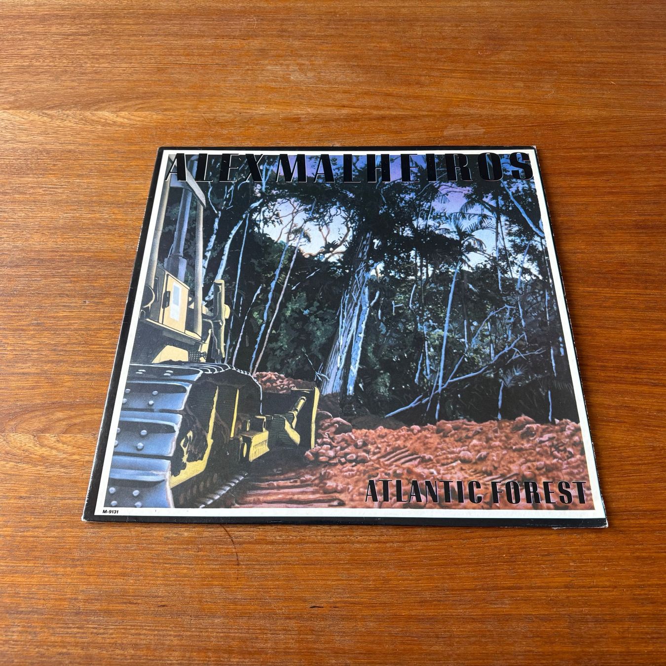 Dischi in vinile: Alex Malheiros – Atlantic Forest – Usato da Zürich venduto da gaal7