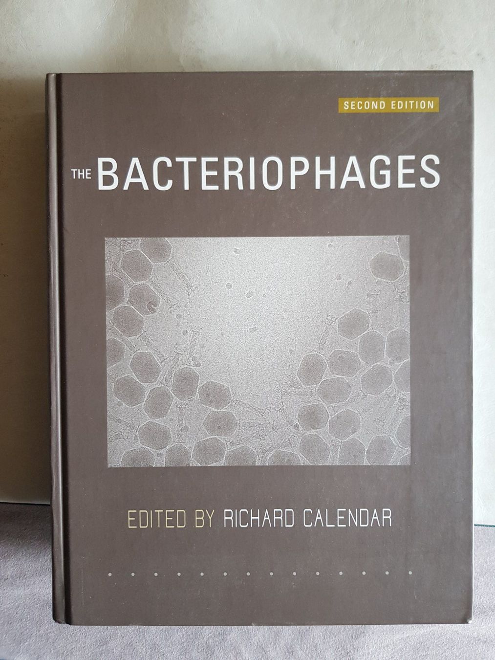 Libri: The Bacteriophages - Richard Calendar - 2. Edition - 2006 – Usato da Walterswil BE venduto da Lonitti