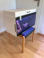 Aquarium (klein) inkl. Zubehör