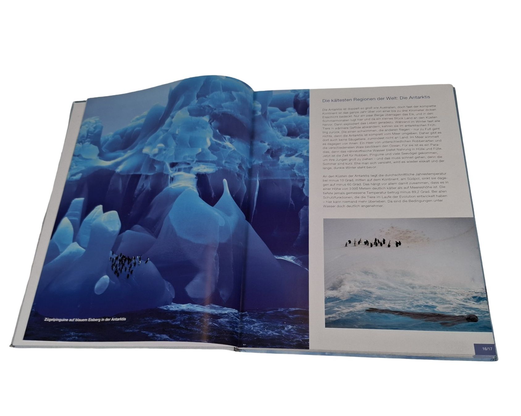 Libri: LINGEN Tiere in Eis und Schnee – Usato da Wil SG venduto da Restwert_Wil 3