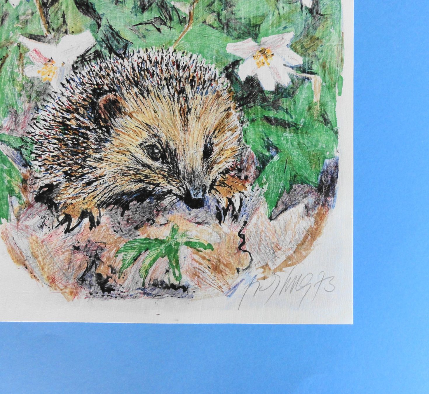 Dipinti: FRITZ HUG Farblithographie "Igel" signiert u. dat. 73 – Usato da Reiden venduto da cinfis 1