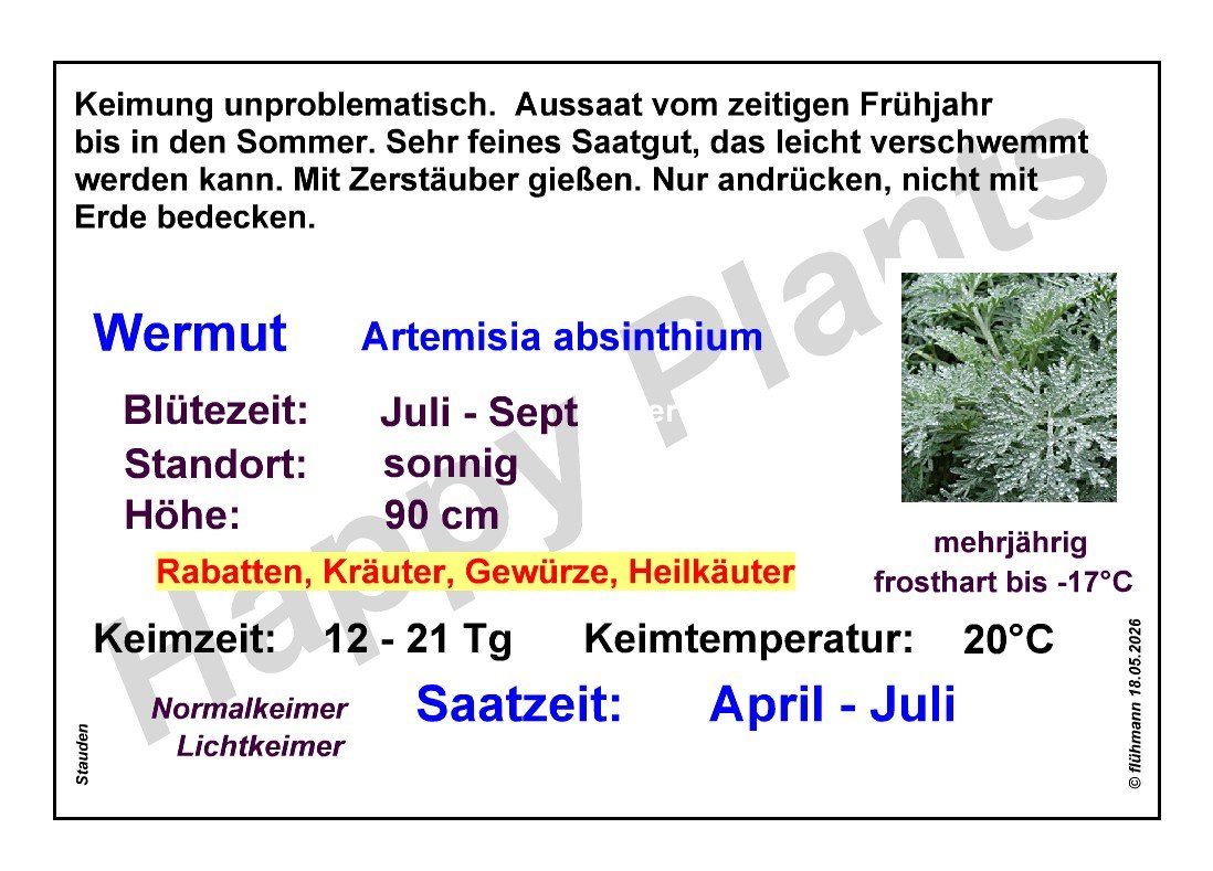 Piante & sementi: Wermut - Artemisia absinthium - 1000 Samen – Nuovo e nell'imballaggio originale da Sumiswald venduto da Cham14559 2
