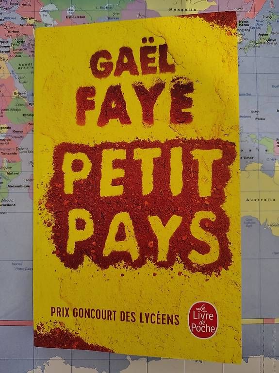 Libri: Gaël Faye, Petit Pays – Usato da Gümligen venduto da pre_z2wf