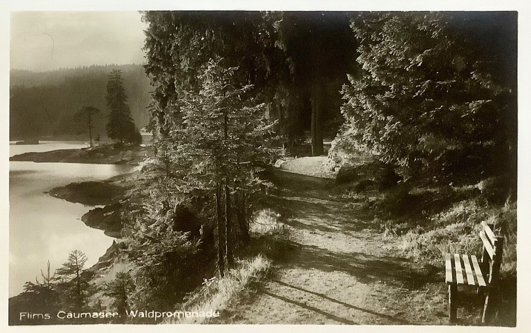 Cartoline postali: FLIMS - Caumasee Waldpromenade - Natur – Usato da Root venduto da ENGLAND-TREASURES 1