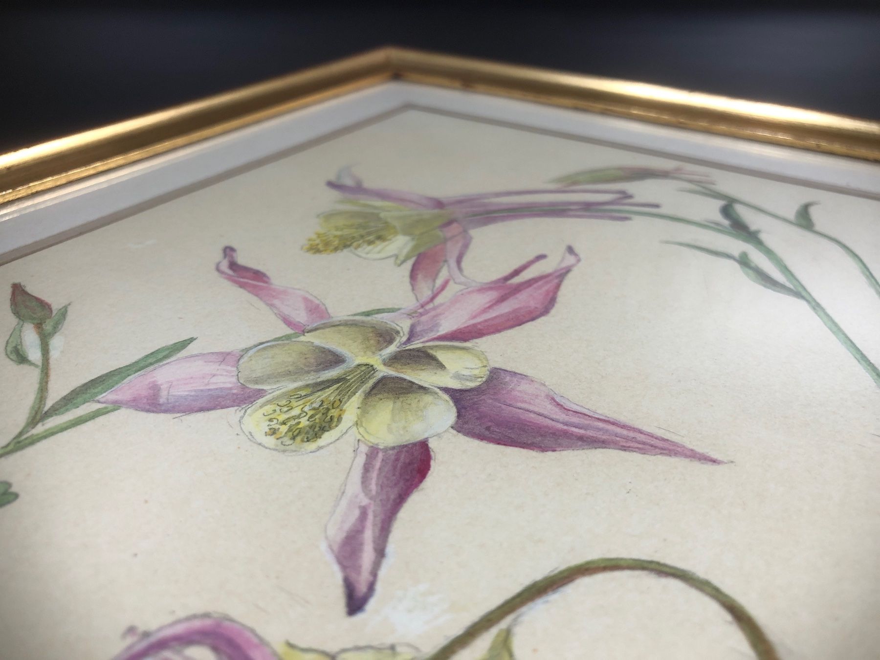 Foto & Immagini: ⭐ Bild Floral, Willy Minder 1950 – Usato da Arisdorf venduto da Liquidus 5