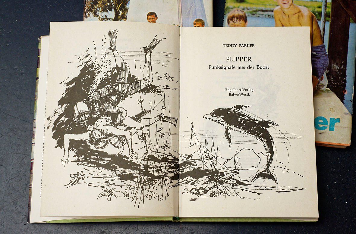 Bücher: 3 Bücher Flipper Auflage 1970 – Gebraucht aus Bern von Maccalvin 2