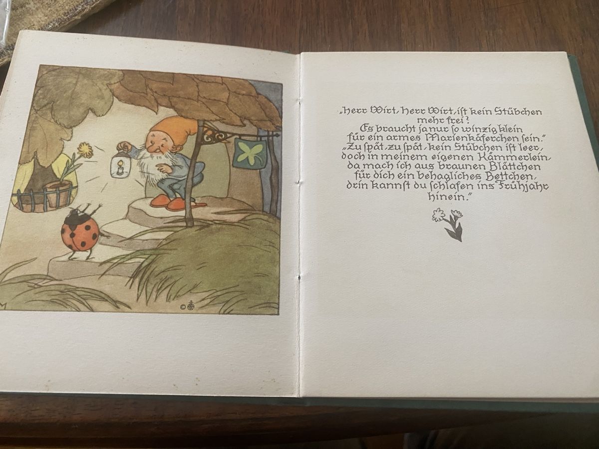Bücher: Seltenes Buch  "In den Wurzelstubchen" von 1932 – Gebraucht aus Baden von swiss-alps 3