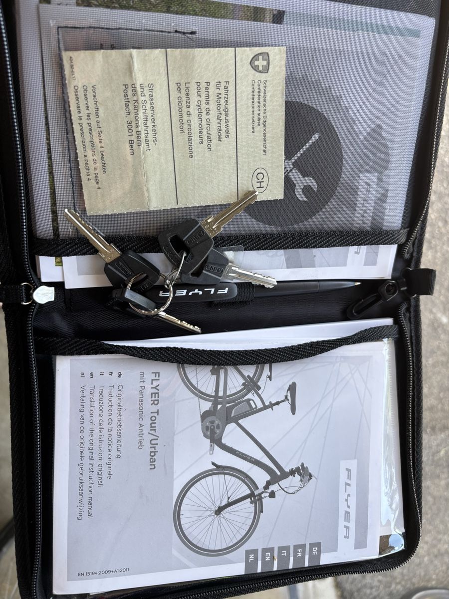 Flyer Biciclette: Flyer 45 km/h – Usato da Kleindietwil venduto da her_d77z 9