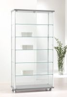 Design Glasvitrine, ESG Glas, Silber (B.93cmxT.39cmxH.183cm)