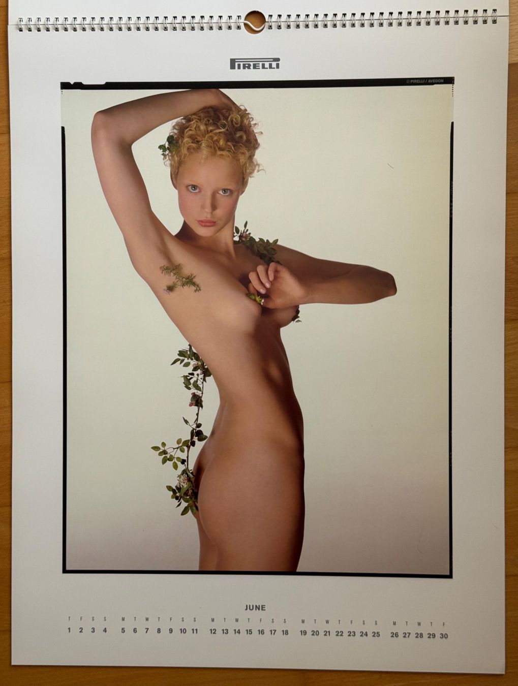 Pirelli Calendari: 2 Original Pirelli Kalender 1995 & 1996 – Usato da Bülach venduto da Twinggy 5