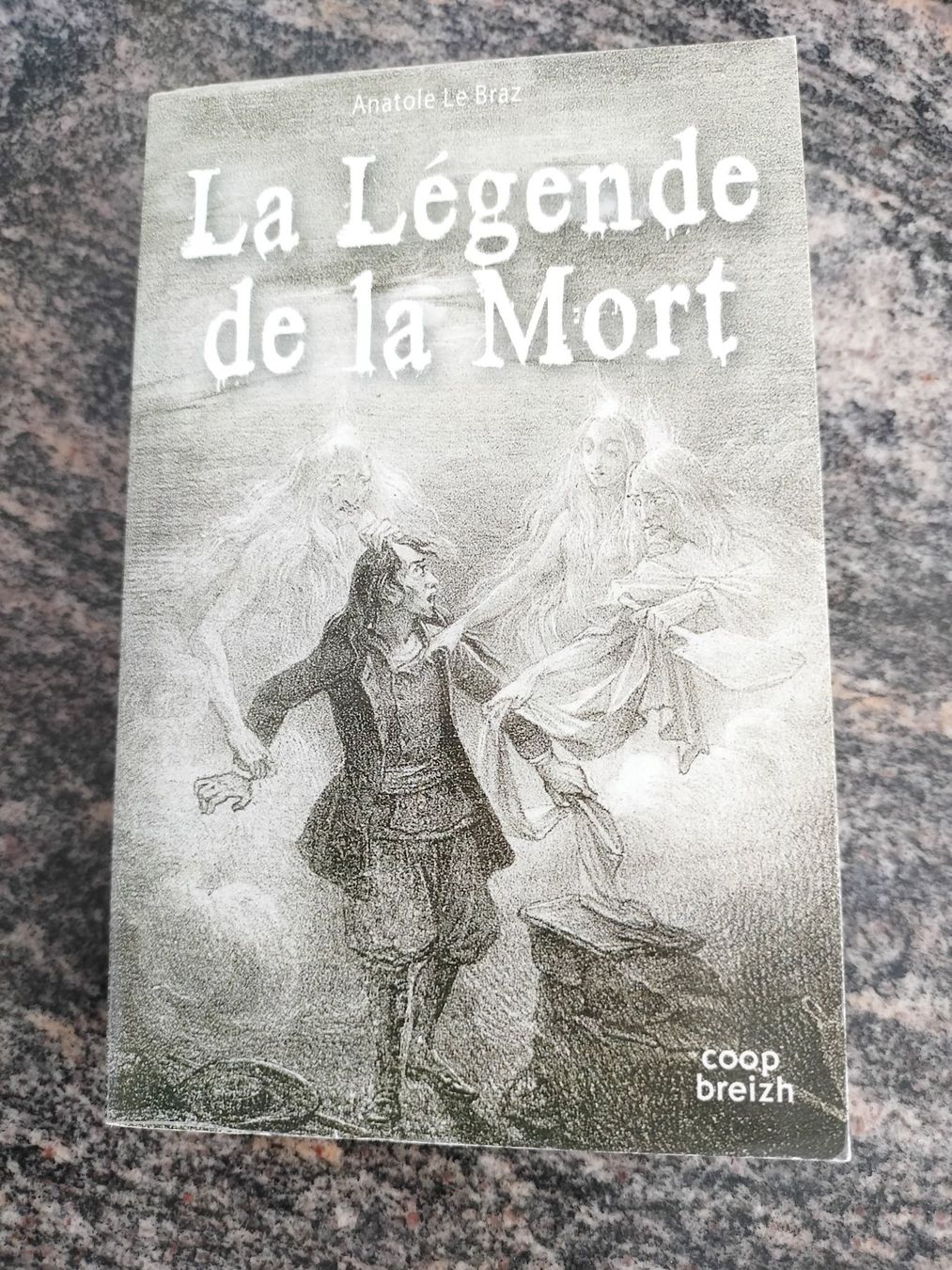Libri: La légende de la mort Anatole Le Braz – Usato da Cortaillod venduto da rozinna