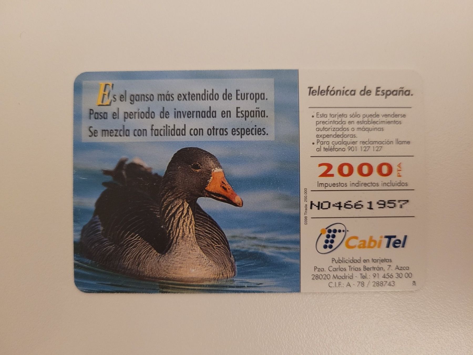 Cartes de téléphone: Telefonkarte Spanien "Gans" – D'occasion à Inwil par Flower2325 1
