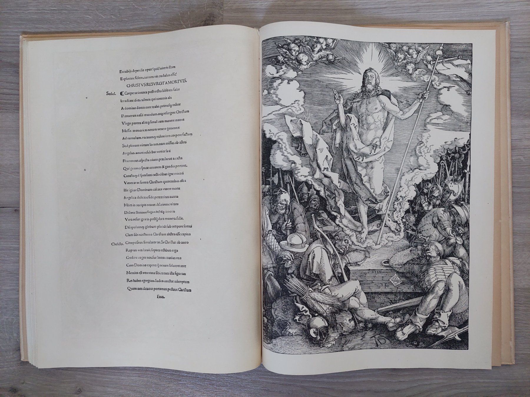 Libri: Die grosse Passion von Albrecht Dürer - Holzschnitte – Usato da Obfelden venduto da Foto_Bild_Kunst_Buch 8
