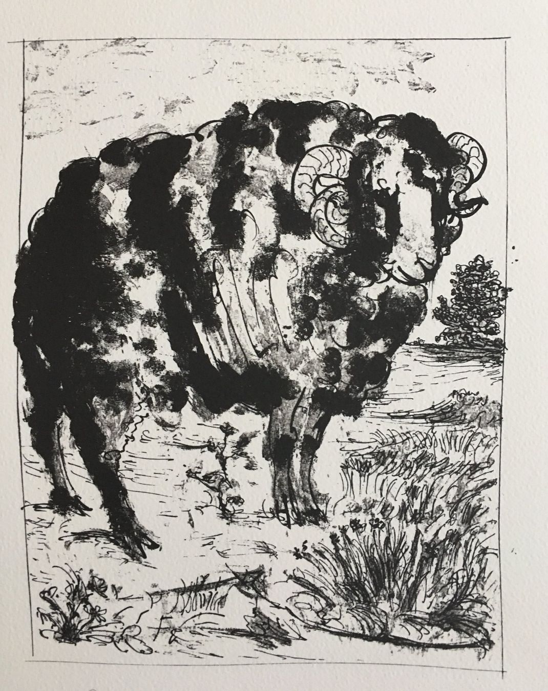 Grafiken & Lithographien: Pablo Picasso   Buffon  "Le Belier" – Gebraucht aus Nennigkofen von Sommersonnen 4
