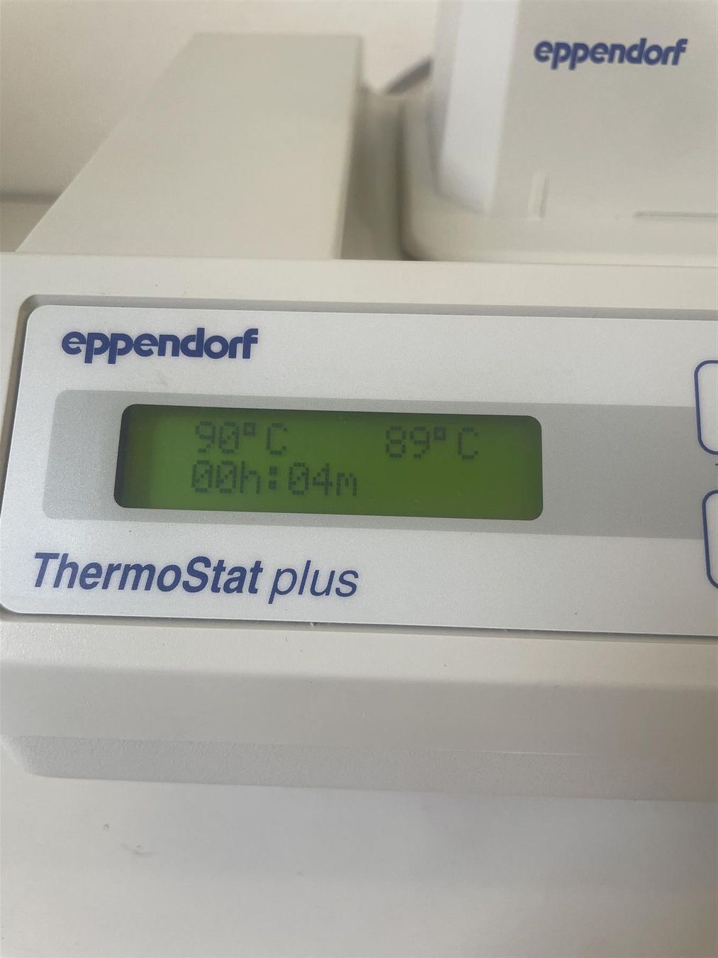 Misurare: Eppendorf Thermostat Plus – Usato da Niederdorf venduto da LeptonAG 6