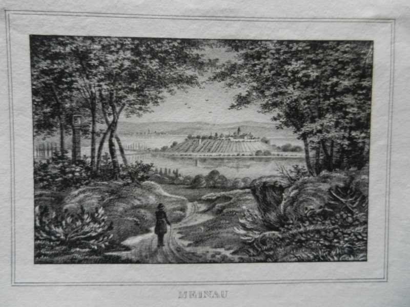 Incisioni: Insel Mainau Bodensee selten – Usato da Risch venduto da Rischli15 1