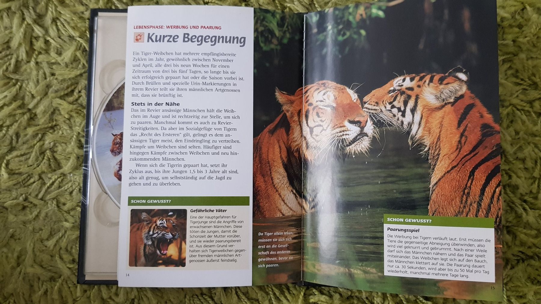 Tutti i DVDs: Tiger der Sümpfe – Usato da Dornach venduto da Letizia1987 3