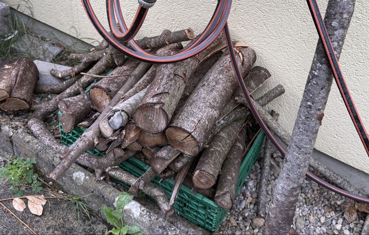 Articoli in legno: Holz von Essigbaum – Usato da Ottoberg venduto da Aramis.007 1
